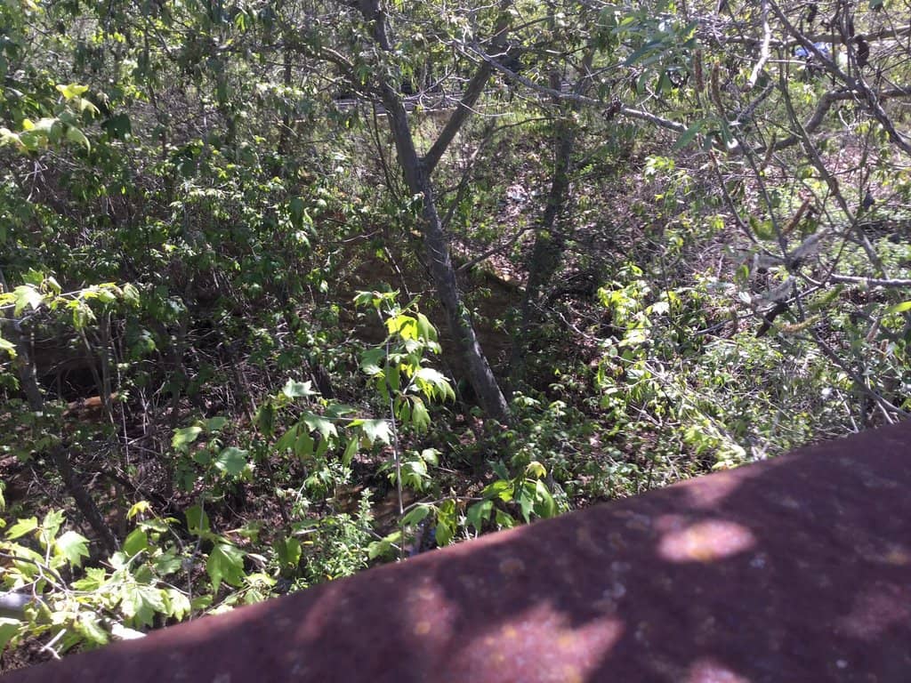 Short Nature Trails