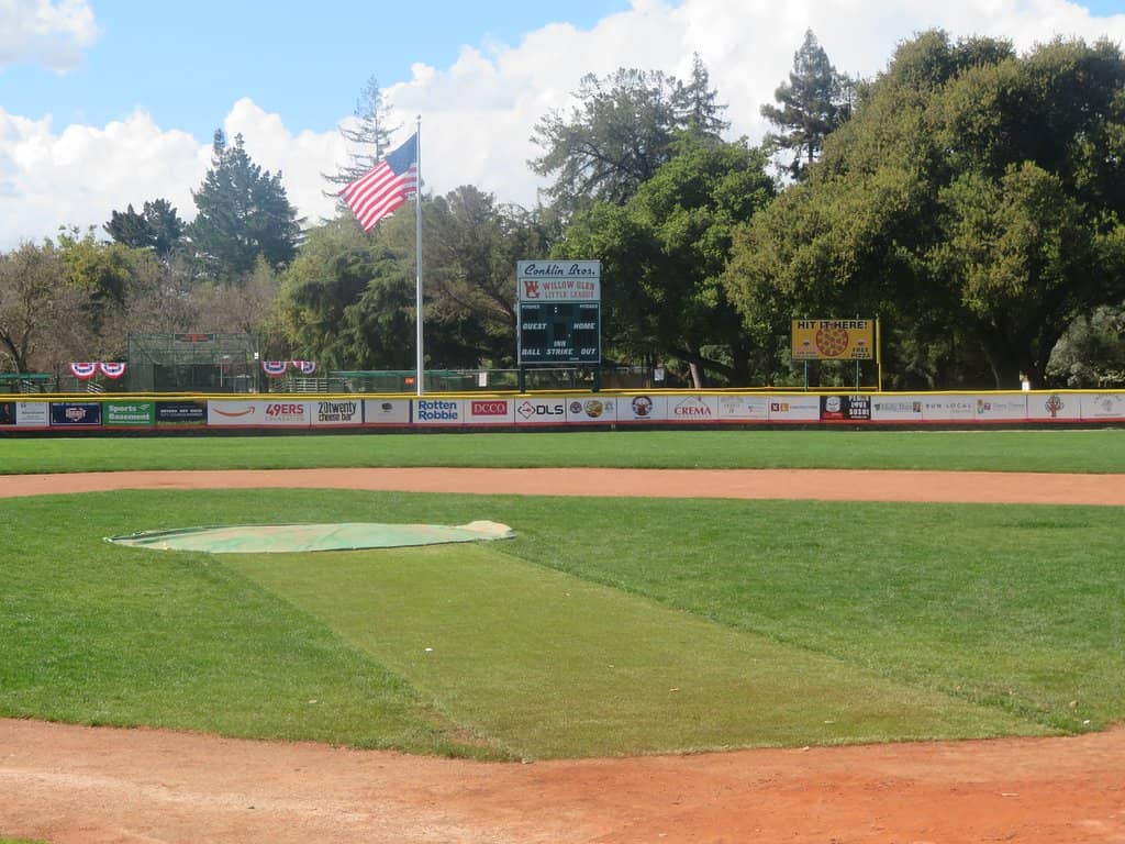 Woodland and Duck Pond