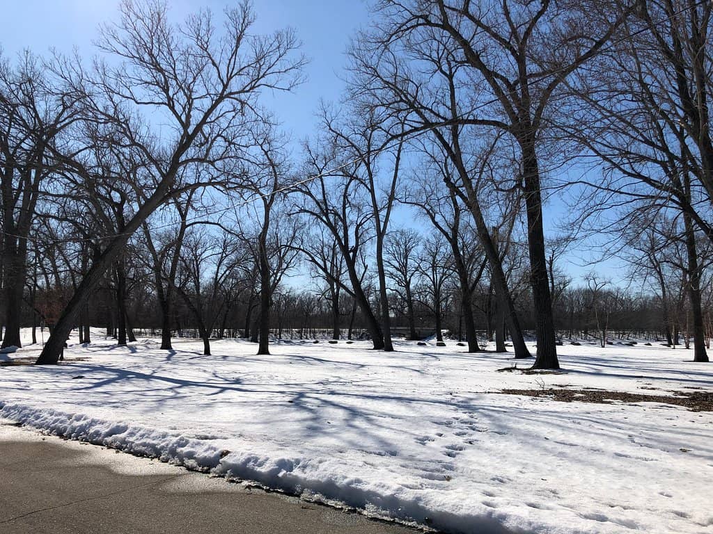 Picnic & Beach Areas