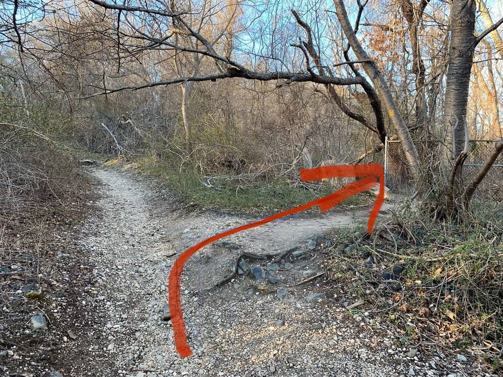 Vertical photo