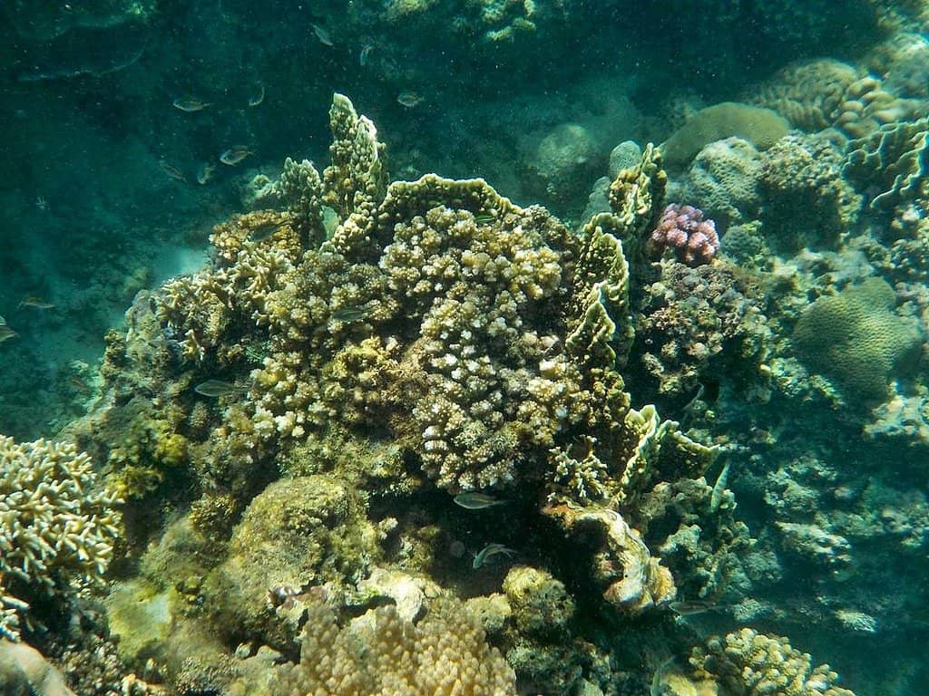 Magical Sunset Views