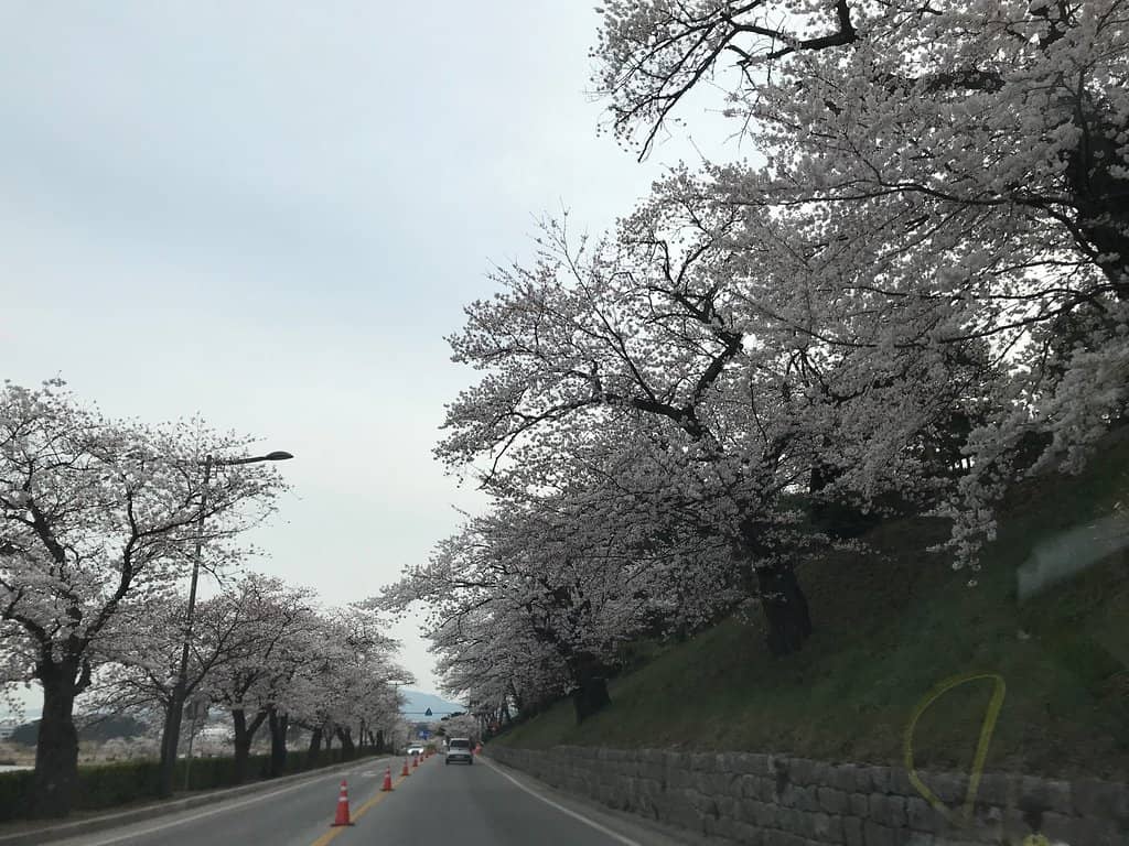 Gyeongpodae Beach