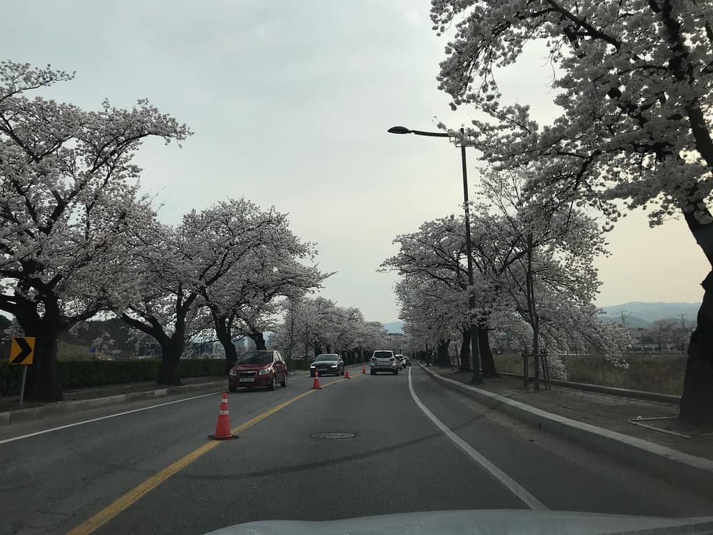 Gyeongpoho Lake