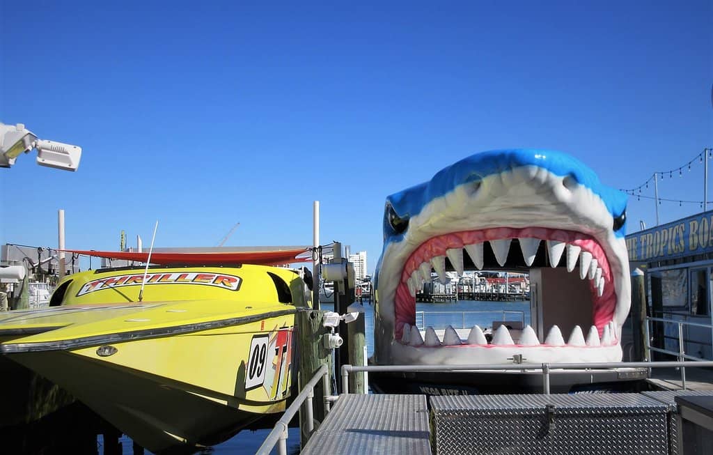 Marina Del Rey Community