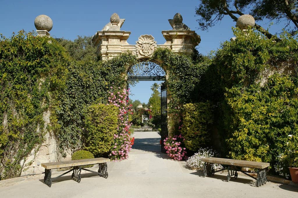 Elaborate Interior Decor