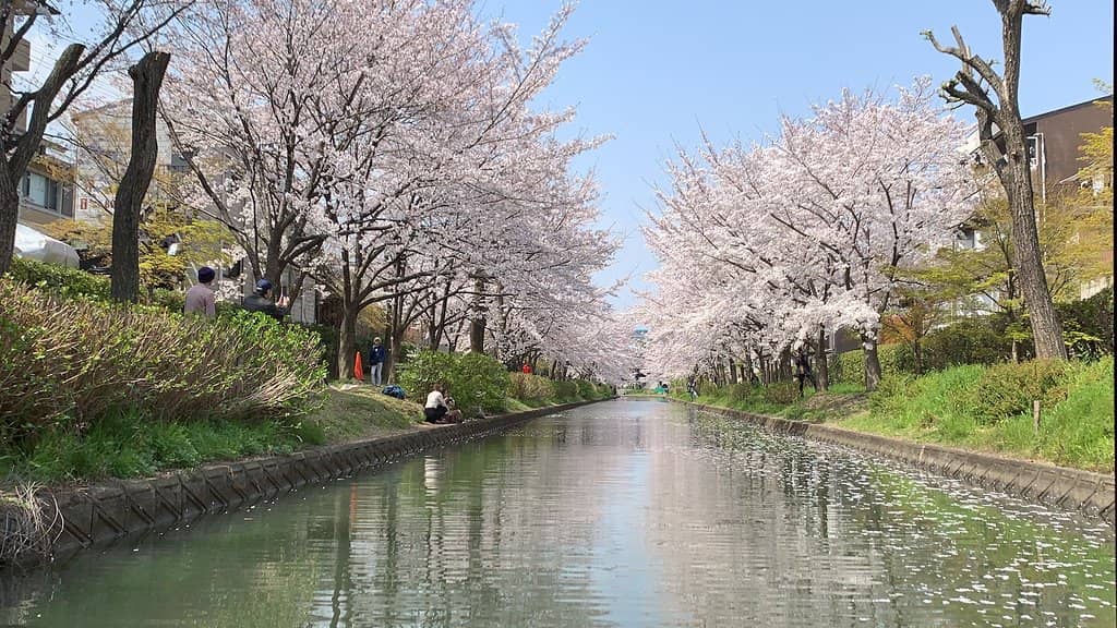 Scenic Canal Walk