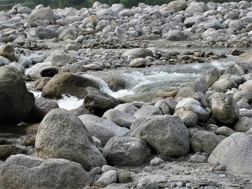 Local Flora and Fauna