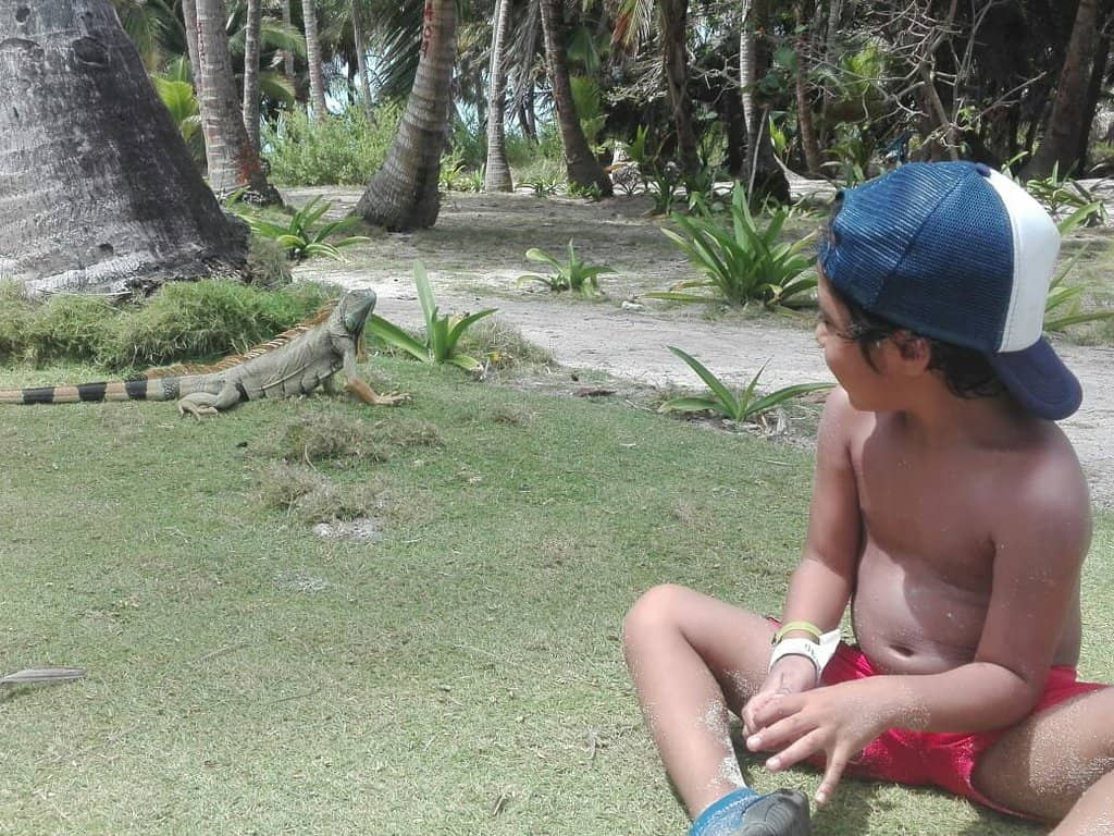 Lush Greenery & Wildlife
