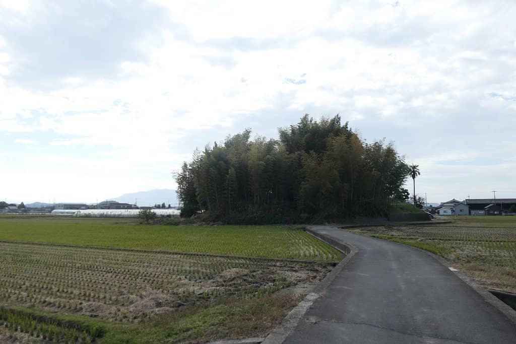 Countryside Walk