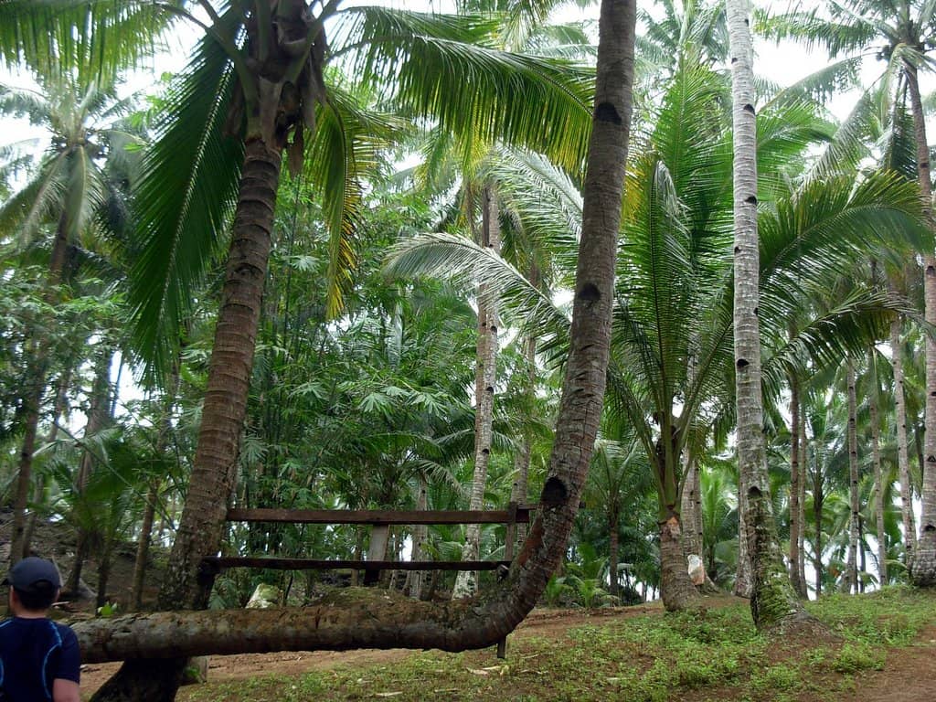 Nadine Lustre's Famous Spot