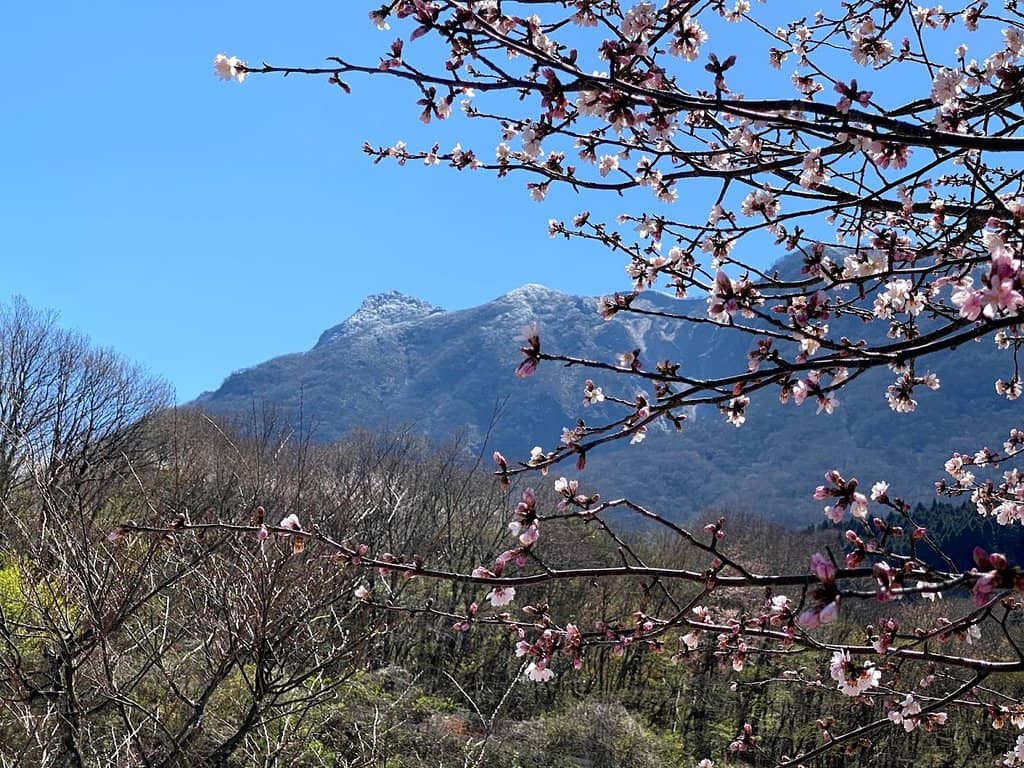 Charming Local Shops