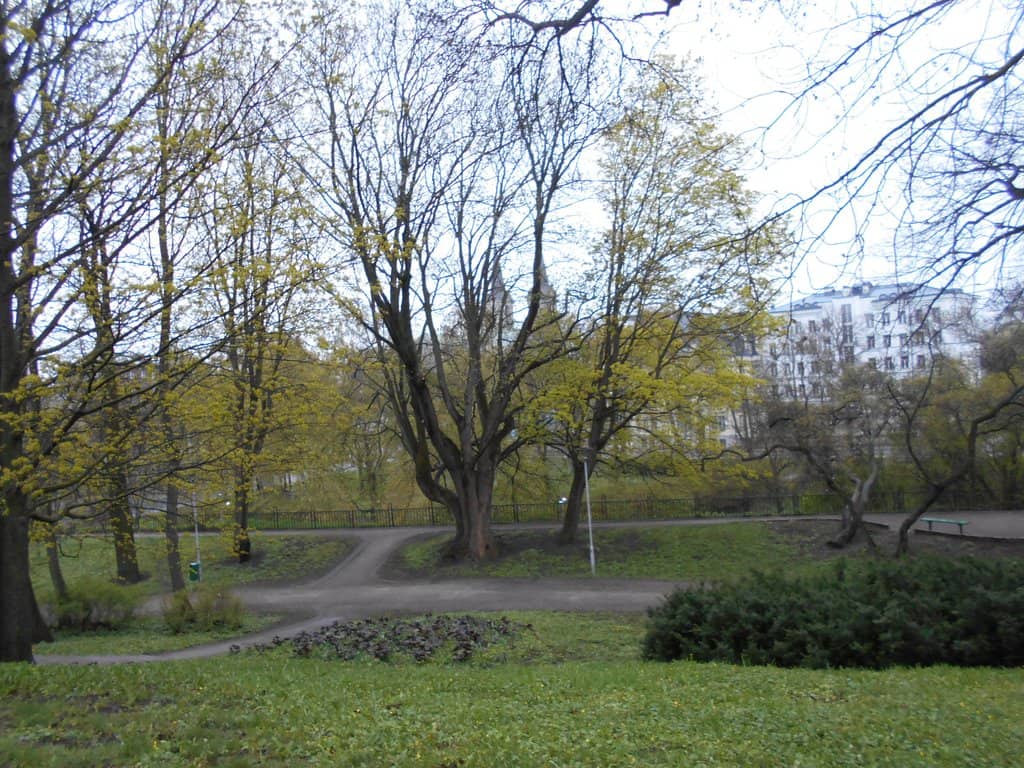 Autumn Foliage