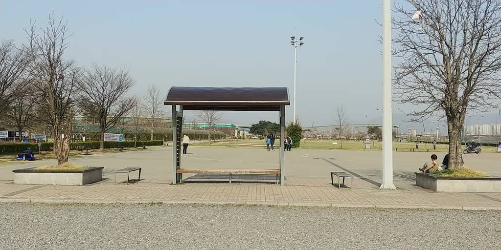 Han River Views & Cycling