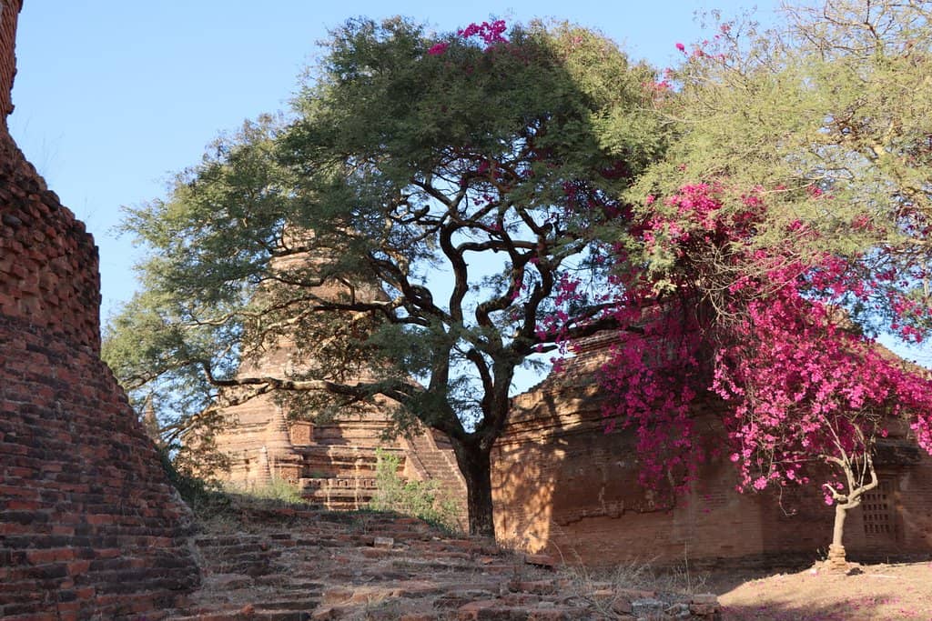 Architectural Grandeur