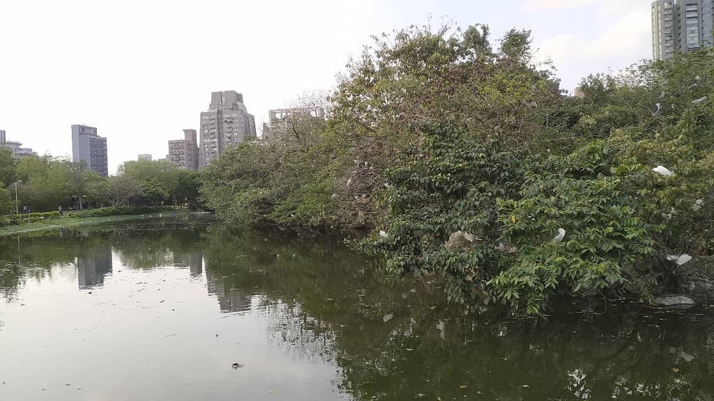Open Green Spaces