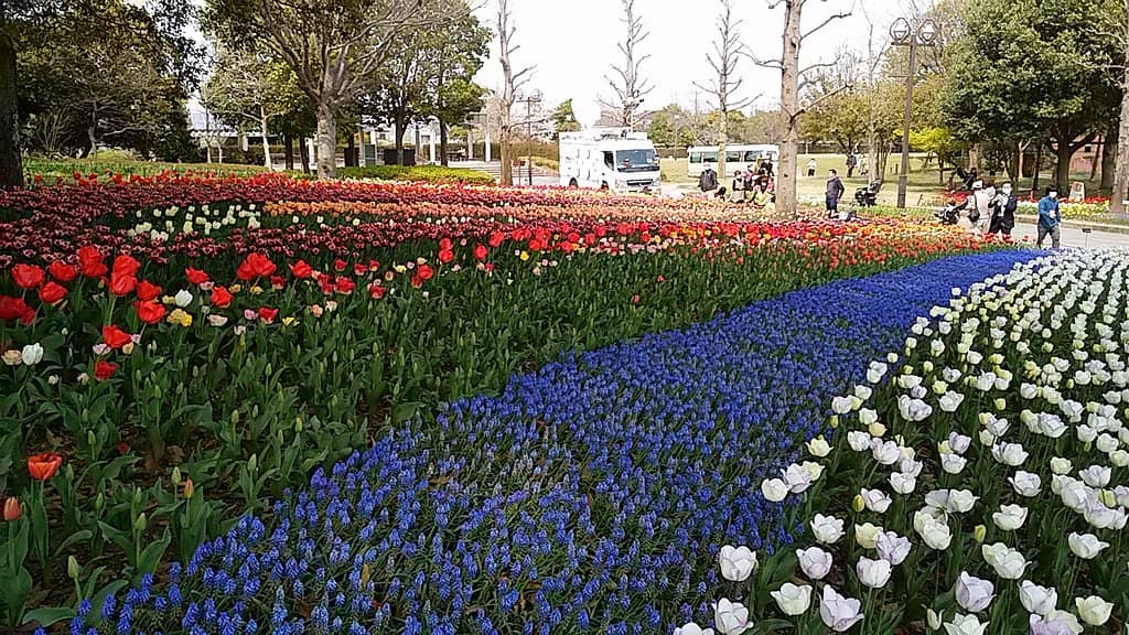 Expansive Playgrounds