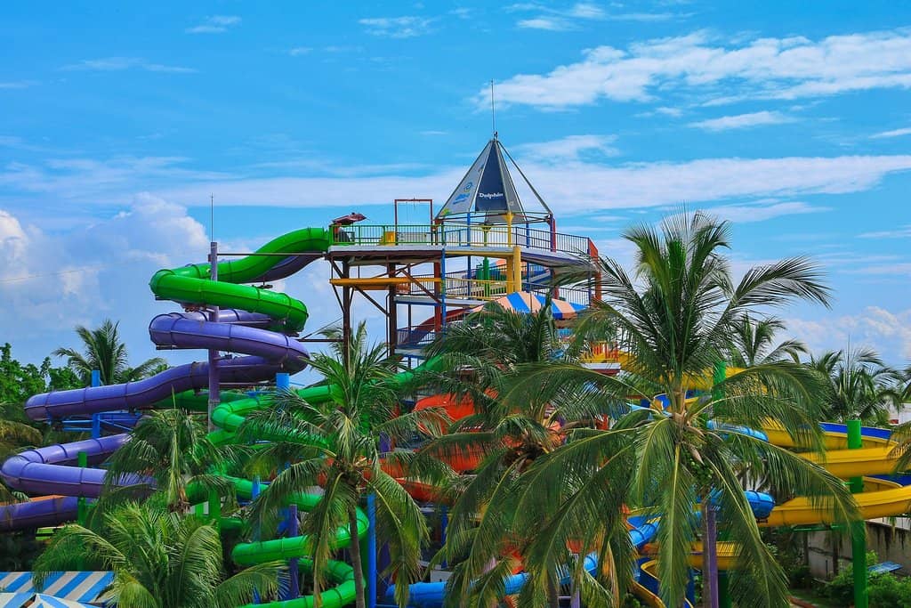 Dolphin Encounter