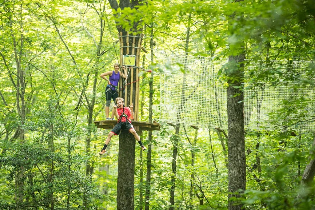 Thrilling Zip Lines
