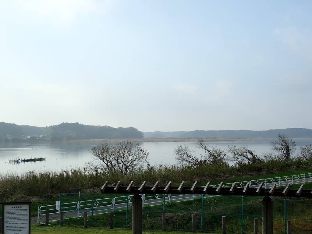 Lake Inbanuma Cycling Path