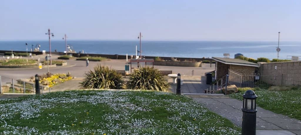 Seafield Fairy Garden