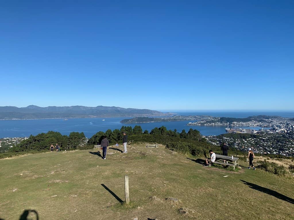 City and Harbor Vistas