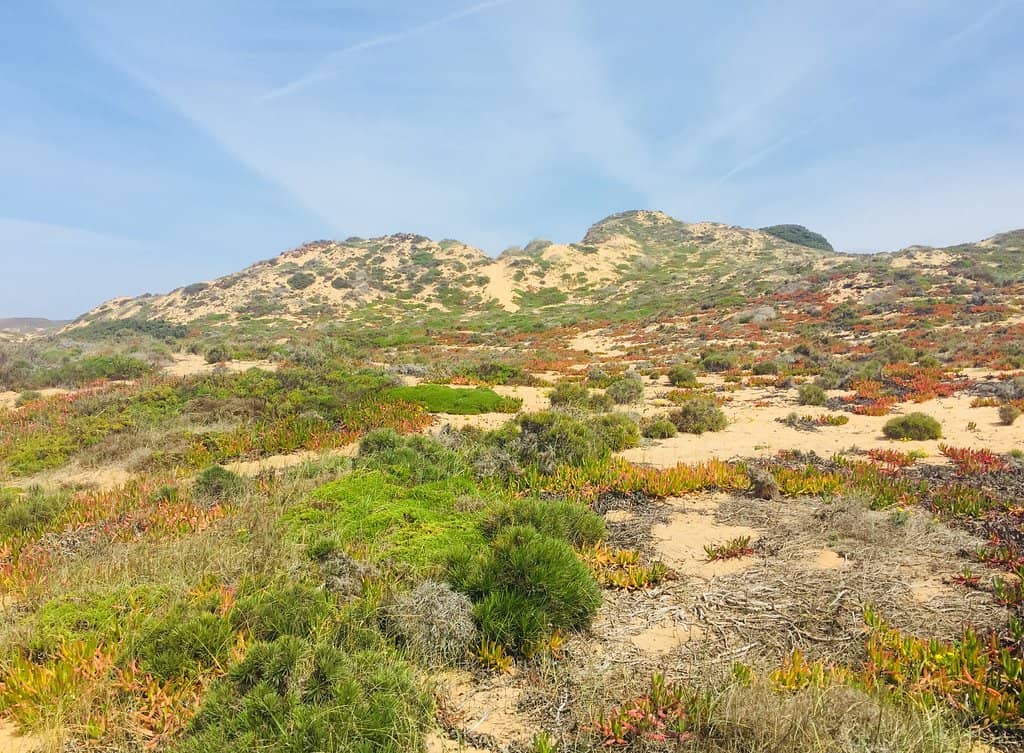 Crystal Clear Waters