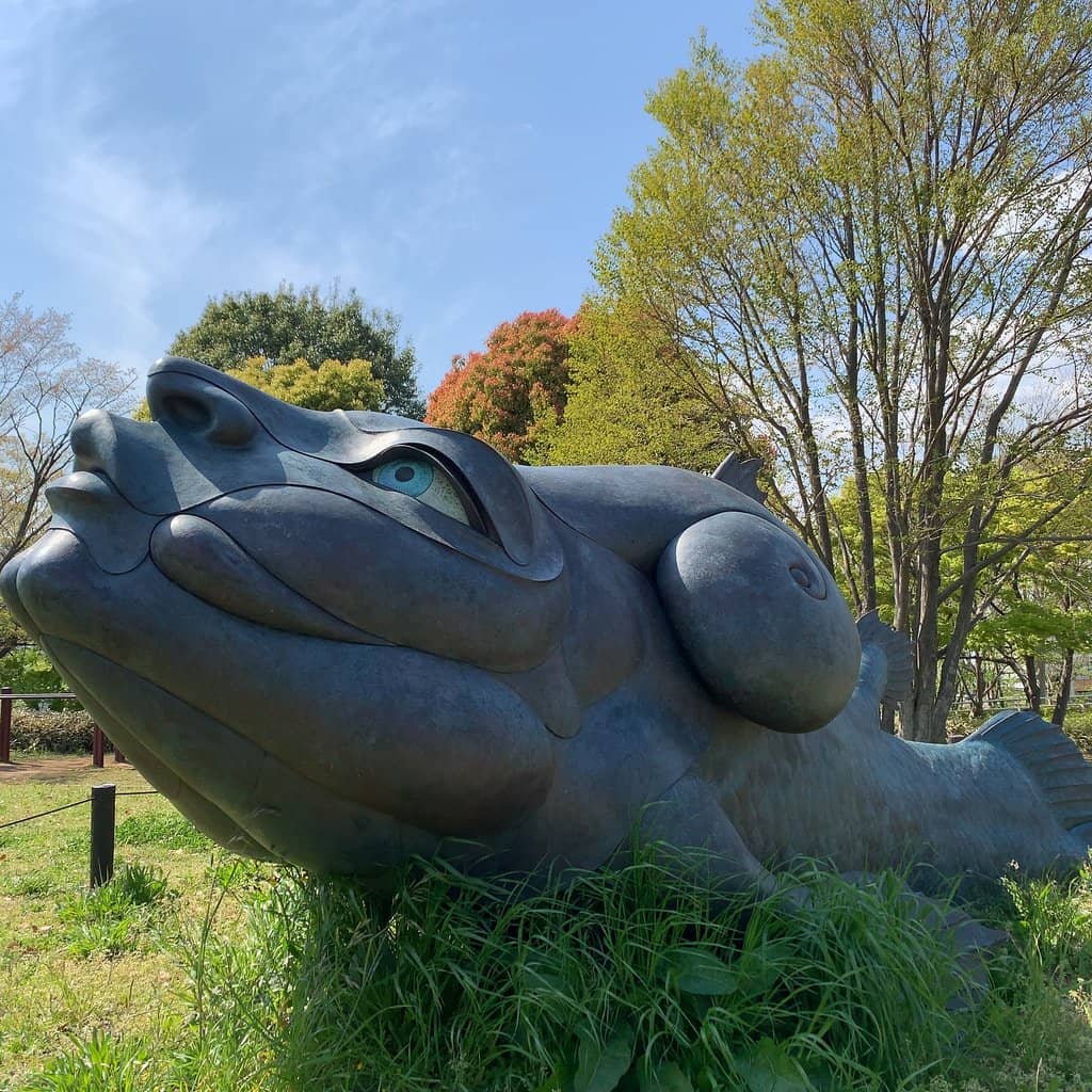 Adventure Playgrounds