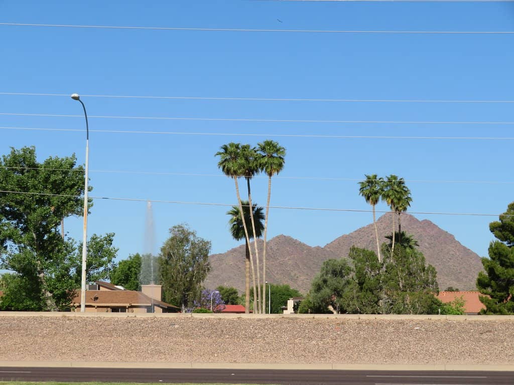 Mesquite Bosque