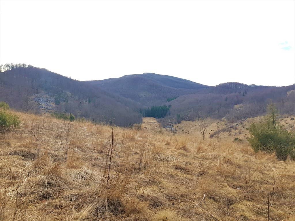 Hiking Trails