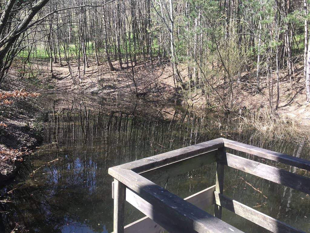Well-Maintained Hiking Trails