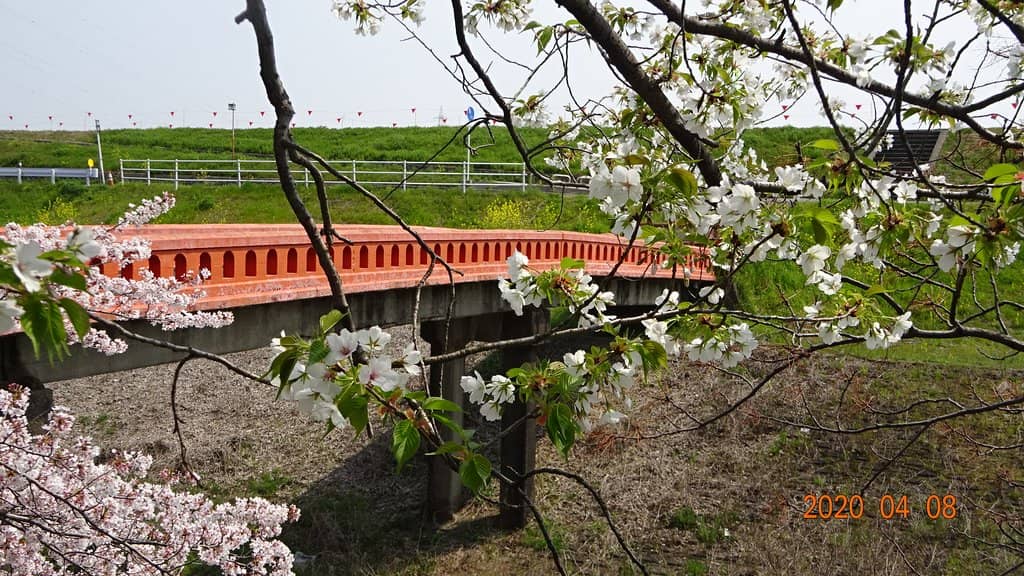 Riverside Scenery