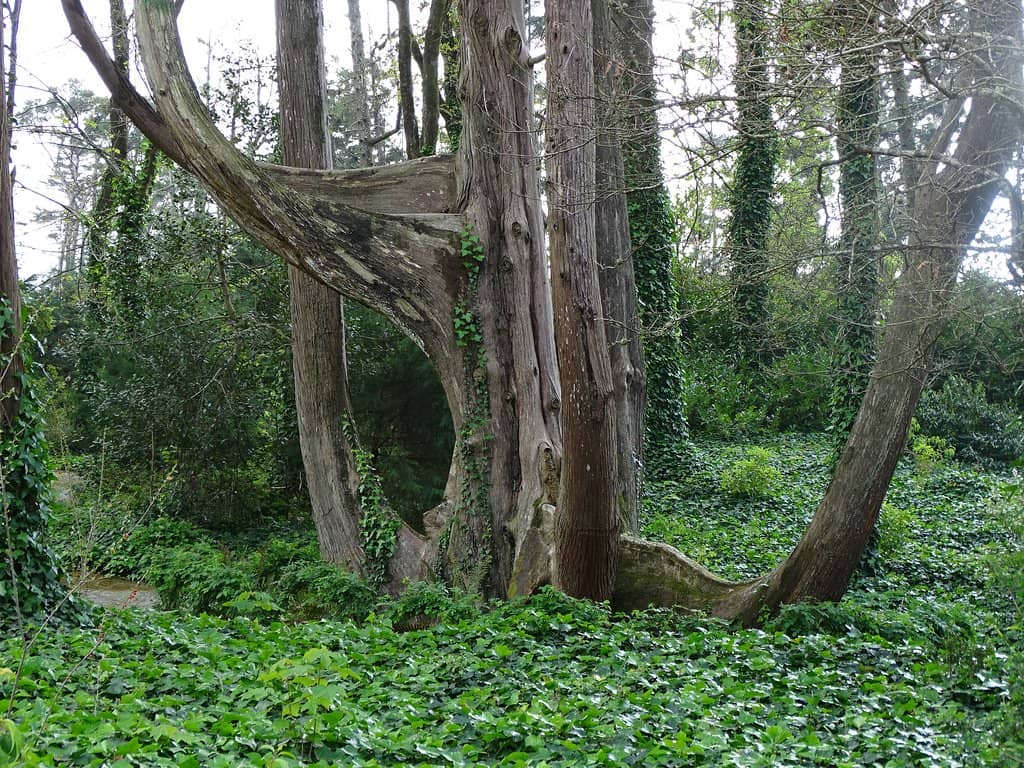 The Beautiful Park Walk
