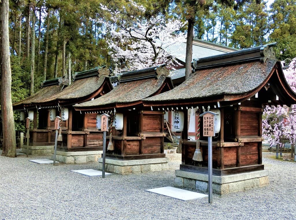 Taiko Bridge & Koi Pond