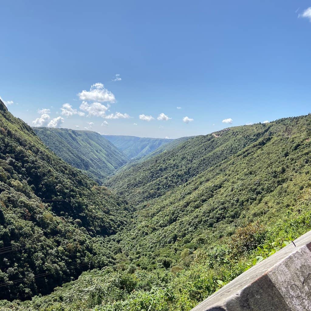 Zip-lining Adventure