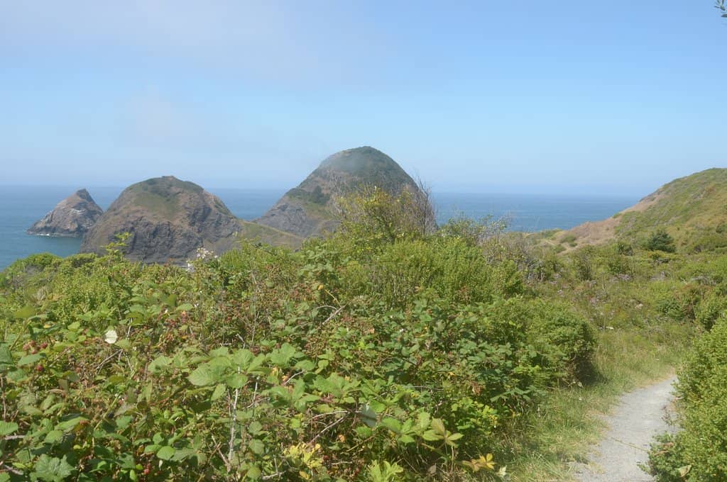 Secluded Beach Access