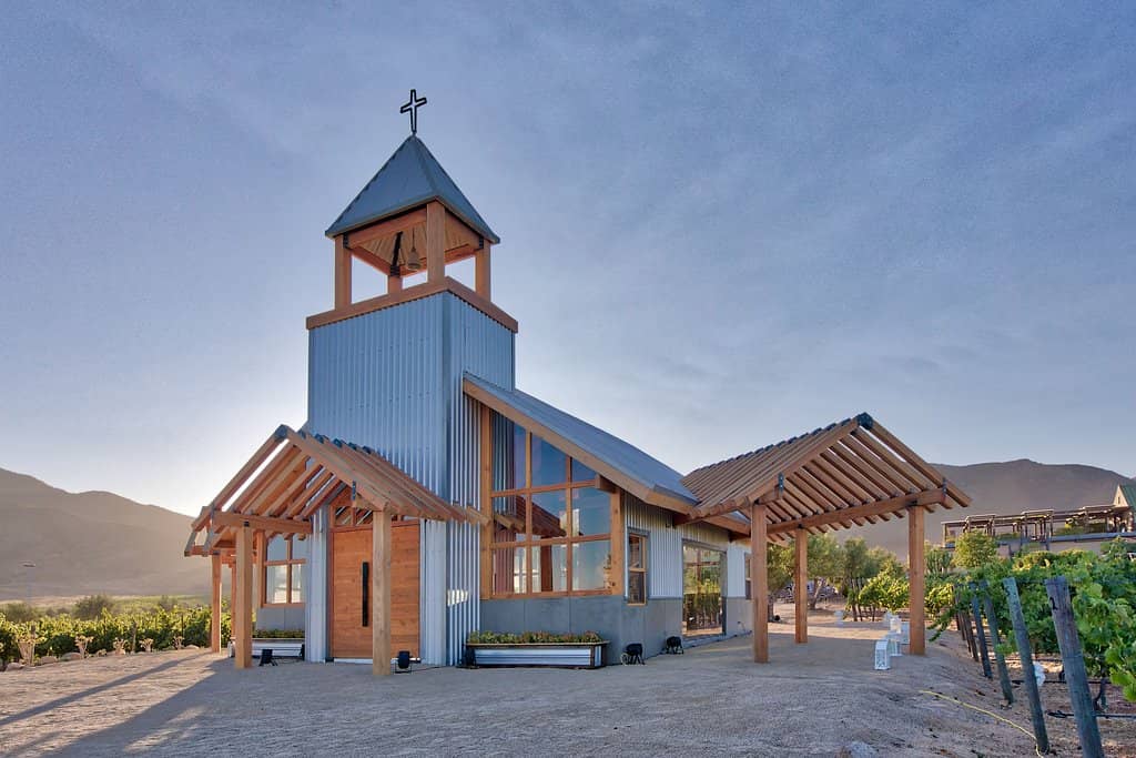 Organic Wine Tasting