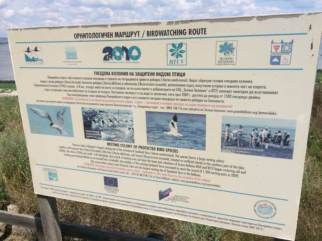 Relaxing Lakeside Views