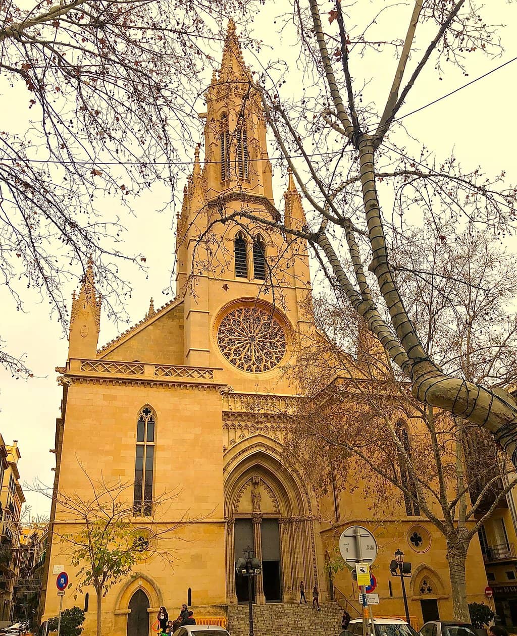 Vertical photo