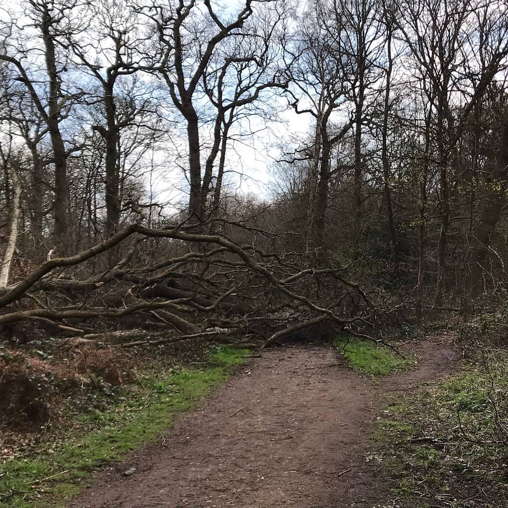 The Dell Death Shute