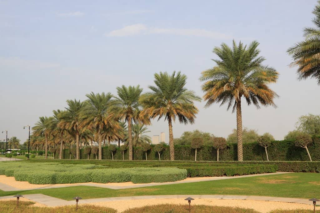 Lush Palace Gardens