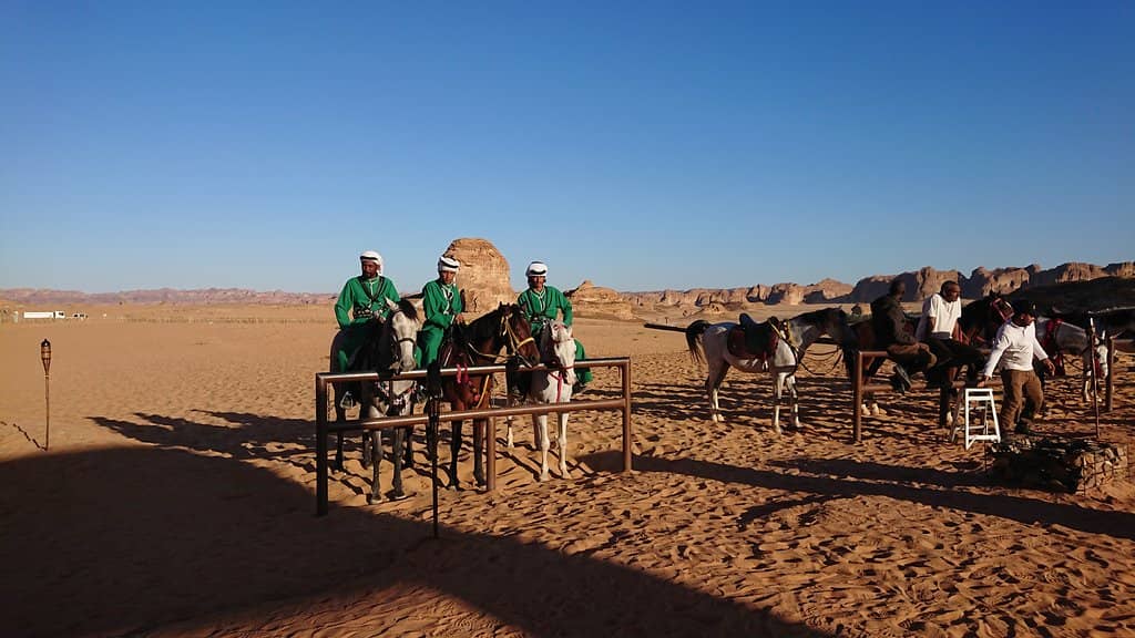 The Iconic Elephant Rock