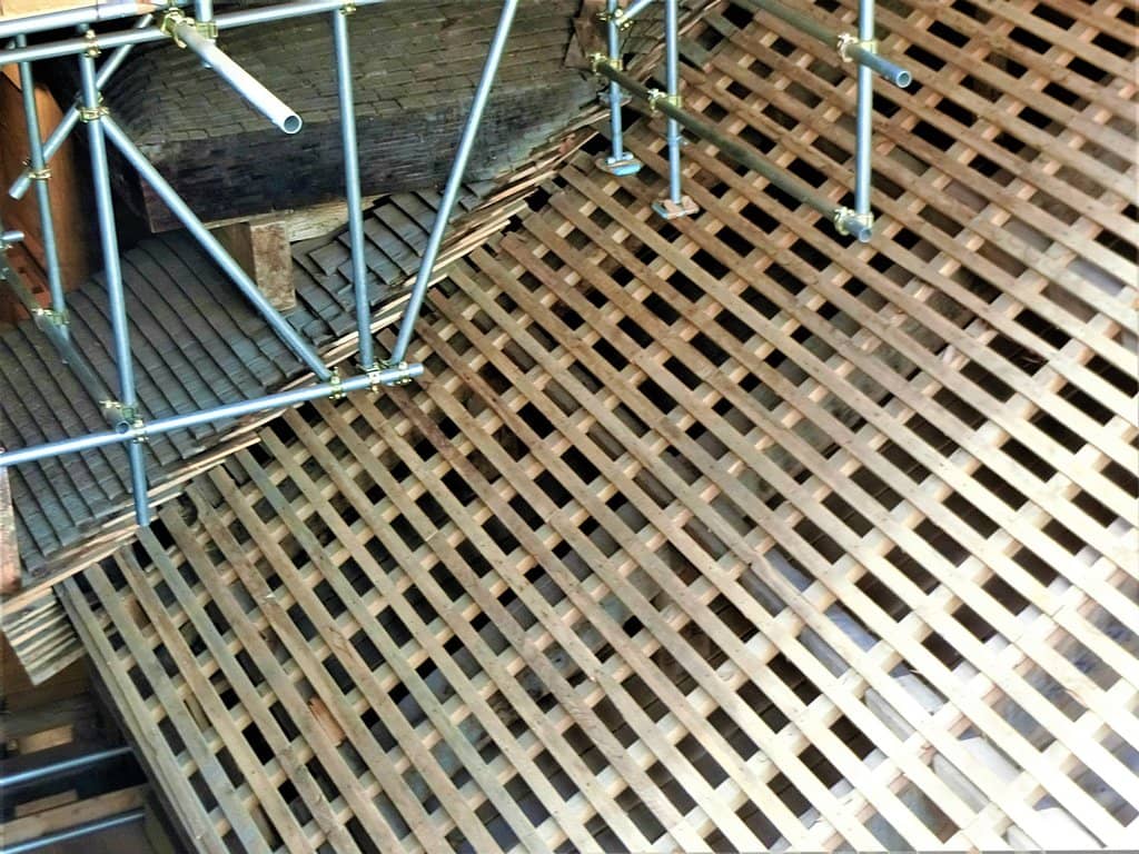 Mount Hiei Forest Trails