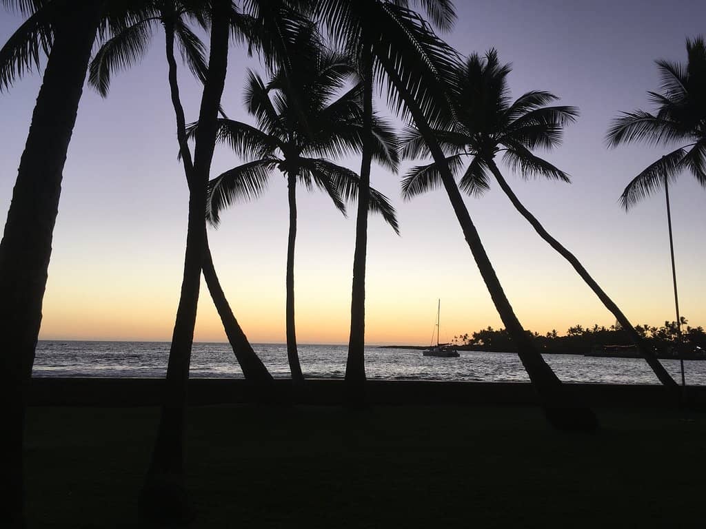 Memorial and Archives