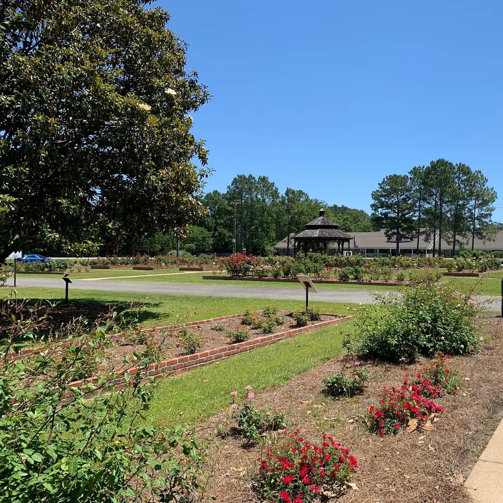 Tranquil Garden Pathways