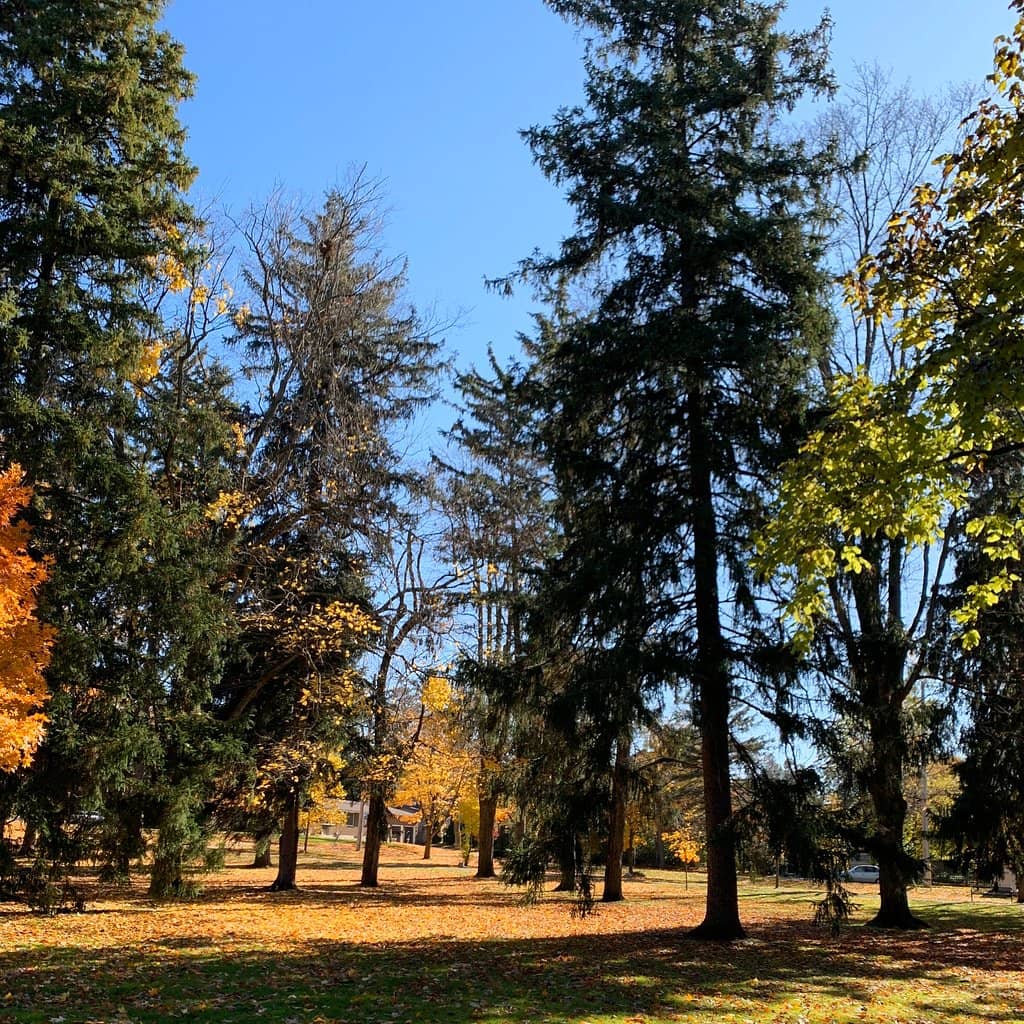 Capital Region Farmers Market