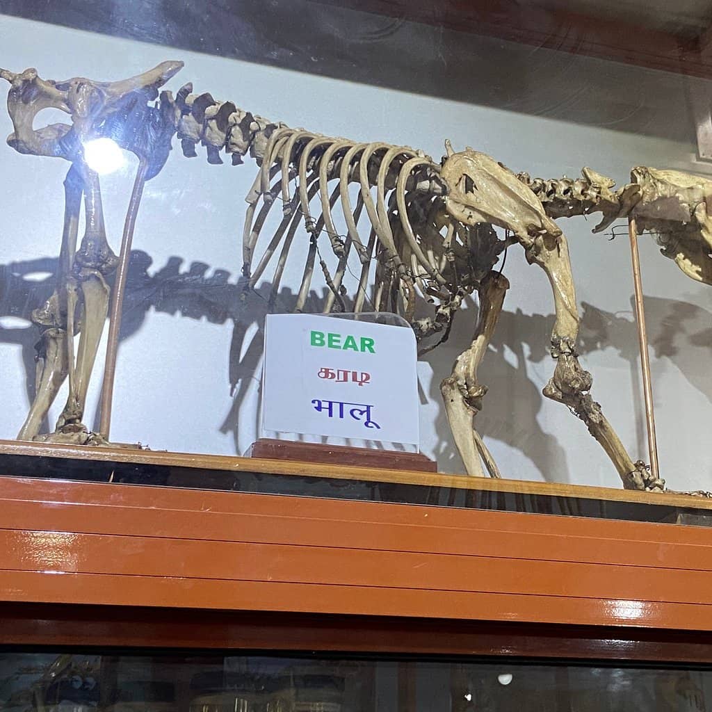 Herbarium and Fossil Exhibits