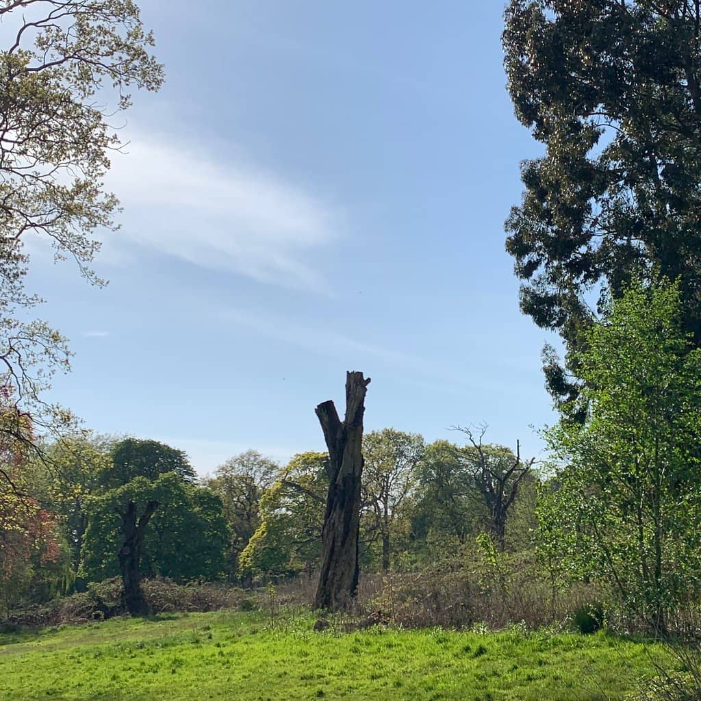 Open Meadows & Play Areas