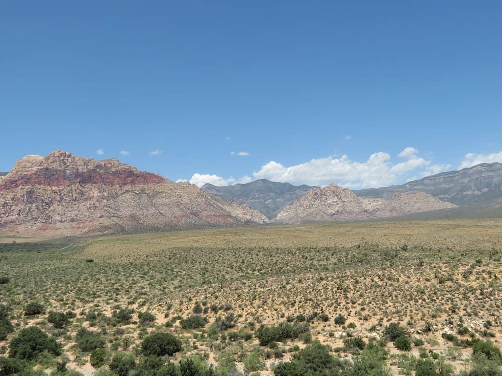 First Creek Canyon Trail
