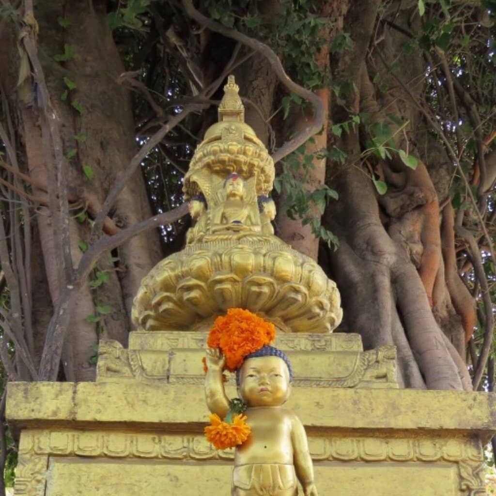 Peaceful Paved Walkways