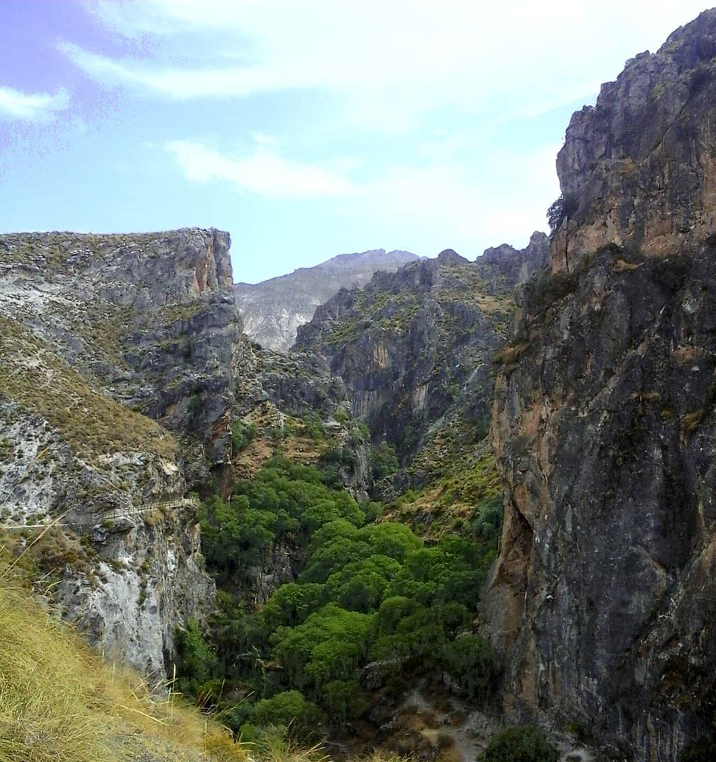 Vertical photo